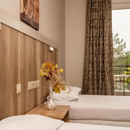 Epavlis Hotel 3*